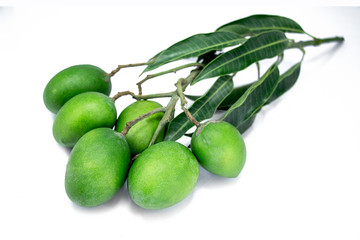 group of raw green mangoes with mango leaves