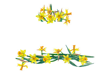 Parallel pattern frame of realistic yellow narcissuses and green leaves. Blossoming inflorescences. Festive decoration for spring events. Watercolor hand painted isolated elements on white background.