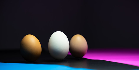 many eggs are in Colorful ( black, blue, pink ) background. Easter Egg Concept and Dark Concept