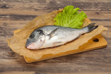 Raw Dorada fish  for cooking