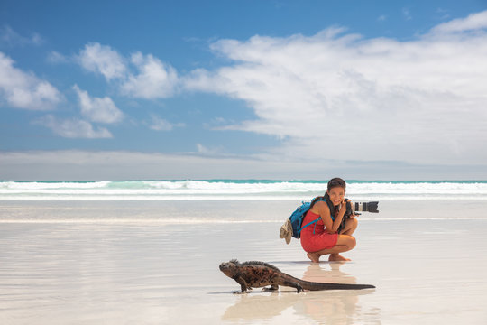 Travel adventure tourist nature photographer on vacation on Galapagos beach with Iguana walking by on Tortuga bay beach, Santa Cruz Island, Galapagos Islands. Funny holidays image, Ecuador.