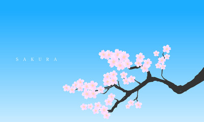 「桜」 Cherry blossom and sky illustration