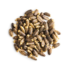 Milk thistle seeds.