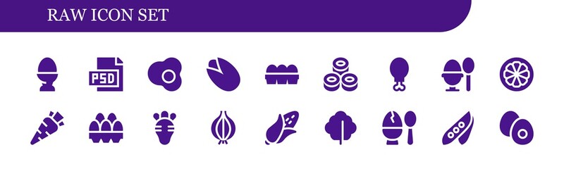 Modern Simple Set of raw Vector filled Icons