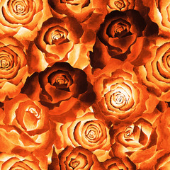 Seamless pattern of fire color roses, background. Hand drawn watercolor.