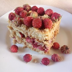 piece of homemade cake made of cookies, condensed milk and wild berries