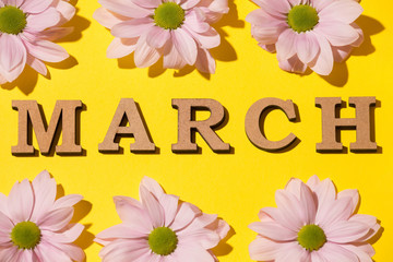 Pink chrysanthemums on yellow and wooden letters March top view.