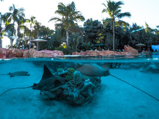 swimming pool in luxury hotel