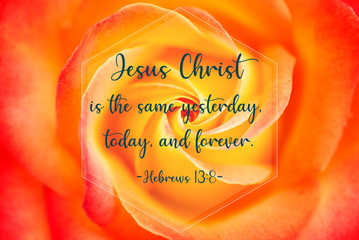 Hebrews 13:8 – Bible verse saying that Jesus Christ is the same yesterday, today and forever, written on rose background