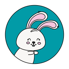 cute rabbit animal in frame circular vector illustration design
