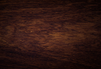 background and texture of Macro Ormosia wood