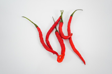 long red chili on a white background