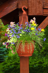 Decorative flowers in hanging flower pot. Flowers hanging on the corner of summer house. Summer flowers in flower pot. Self-Watering Hanging Basket. Flowers in outdoor hanging planter, summer day.