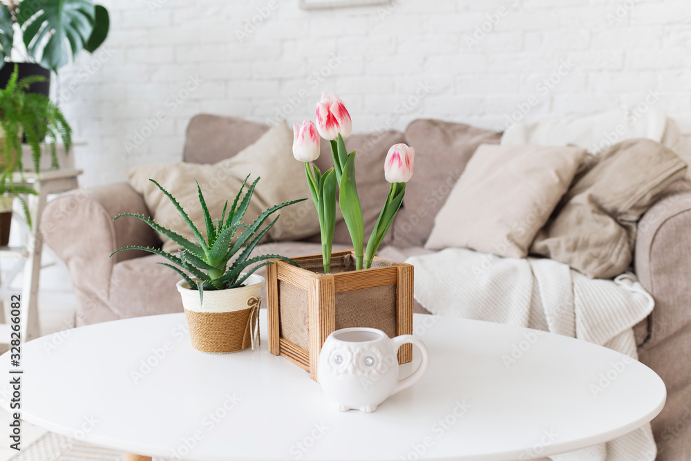 Wall mural Pink tulips with aloe on a white table. Plants in interior concept. Spring light interior.