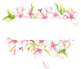 Watercolor painted white cherry blossoms. Isolated floral frame arrangement illustration.