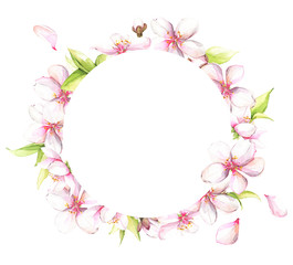 Watercolor painted white cherry blossoms. Isolated floral wreath arrangement illustration.