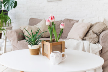 Pink tulips with aloe on a white table. Plants in interior concept. Spring light interior.
