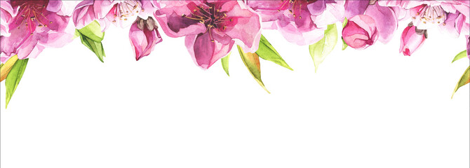 Watercolor painted pink cherry blossoms. Floral seamless border. Arrangement illustration.