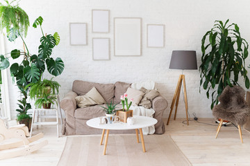 Spring or summer home interior. Scandinavian cozy light interior of living room. Cozy home concept. Plants in interiors. Real photo.
