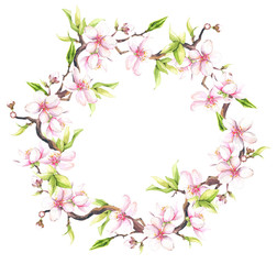 Obraz na płótnie Canvas Watercolor painted white cherry blossoms. Isolated floral wreath arrangement illustration.