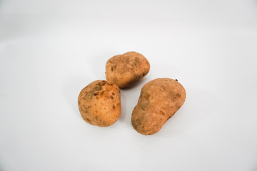 three potato vegetables on a white background