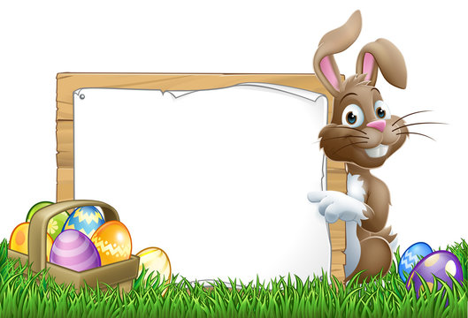 Easter bunny rabbit peeking around a sign and pointing with Easter eggs and basket background cartoon