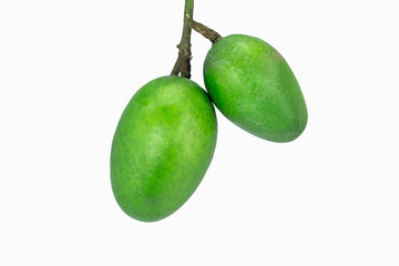set of two hanging raw green mangoes