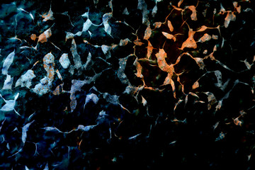 Surface texture with blue, orange and black colors with a strongly cracked surface structure. For abstract backgrounds.
