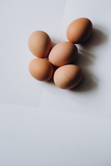 five root eggs on a white background