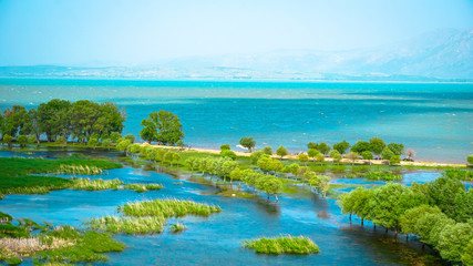 landscape with lake