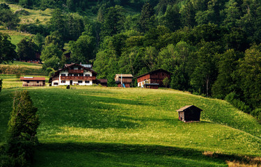 Alpenhof in den Bergen mit grünem Wiesenhang und Wäldern