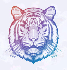 Tiger portrait. Dreamy magic art. Power symbol . Isolated vector illustration. Great outdoors, tattoo and t-shirt design.