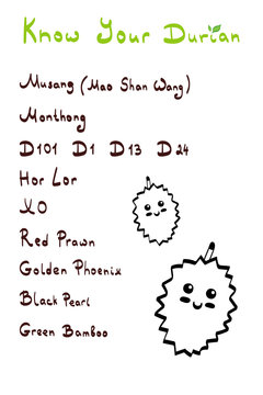 Durian types hand written list vector illustration isolated on white background. Most popular king of fruits sorts for Malaysia, Thailand, China, Indonesia, Taiwan & other South East Asian countries.