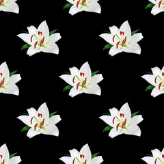 Seamless pattern of white lily flowers on black background isolated close up, blooming lilly flower repeating ornament, lillies trendy print, lilies blossom backdrop, elegant design, floral wallpaper