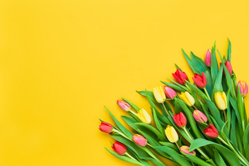 Bouquet of red and yellow tulips on bright yellow background. Beautiful greeting card. Holidays...