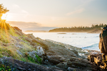Tofino, Cox bay beach at sunset. Vancouver Island, British Columbia, Canada - obrazy, fototapety, plakaty