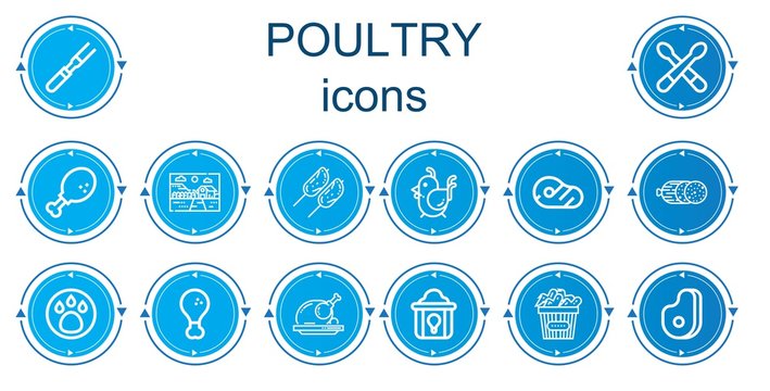 Editable 14 poultry icons for web and mobile