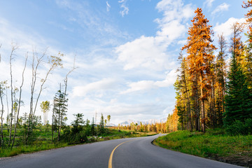 lonely road in Jasper National Park at sunset, Canada