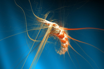 Abstract image of shrimp underwater, on a black background