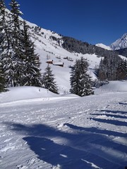 Obraz premium Chalets sur un pent de montagne enneigée entourés de sapins