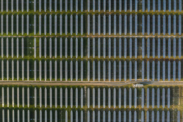 Fototapeta premium Solar panels field