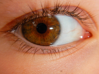 Brown Eye