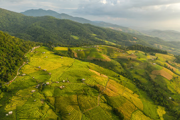 Scenics view of terrace field on hills