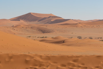 Fototapeta na wymiar Deadvlei desert into the Namib-Naukluft National Park