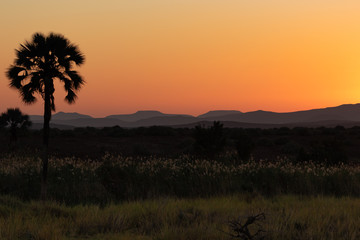 Fototapeta na wymiar Namibian landscape with gorgeous sunlight during sunset