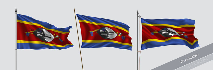 Set of Swaziland waving flag on isolated background vector illustration