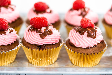 Chocolate raspberry cupcakes