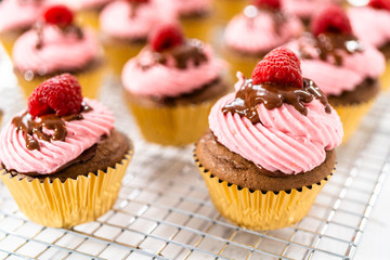 Chocolate raspberry cupcakes
