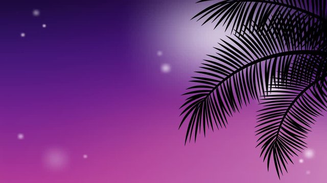 Summer holidays backgrounds with animation footage of wriggle branches of tropical palms tree on colorful sunset sky with shining tiny stars and your copy space.