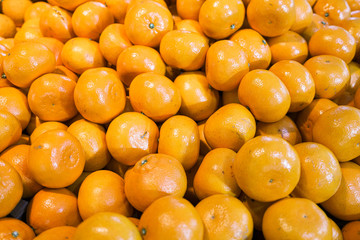 먹음직스러운 과일 천혜향 귤 오렌지